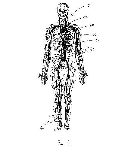 Reporting Phsyiological Data